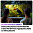 Телевизор Haier 75 Smart TV S3