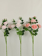 AltFlowers Роза кустовая 90786
