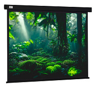 Экран Cactus Wallscreen CS-PSW-213X213-BK 1:1 black
