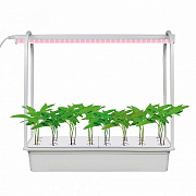 Набор для гидропоники Минисад ULT-P44D-10W/SPLE IP20 Aqua simple white