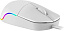 Мышь Defender Azora MB-241 white