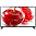 Телевизор LG 49LJ594V