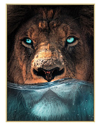 Канвас Постер Лев в воде рама 0 80*110