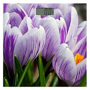 Весы напольные Willmark WBS-1811D Crocuses