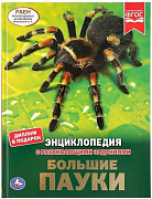 Книга Умка Большие пауки 19.7*25.5 см