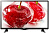 Телевизор LG 24LH451U