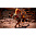 Диск PS4 Mortal Kombat 11 Специальное издание русские субтитры