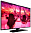 Телевизор Philips 43PFT5301/60