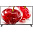Телевизор LG 49LJ610V