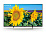 Телевизор Sony KD-55XF8096