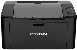 Принтер Pantum P2516 black