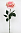 Роза анлийская 68 см/1