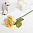 Декоративный цветок Нежно-жёлтая роза