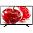 Телевизор LG 43LJ510V