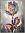 Картина Симпл Арт Лиловые тюльпаны 1 рама 5 44-006 80*80