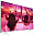 Телевизор Philips 49PFT5501/60