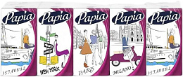 PAPIA Classic Платки носовые 3 слоя 10*10 шт/24