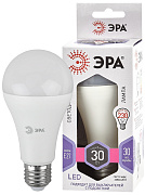 Лампа светодиодная Эра LEDsmd A65-30w-860-E27